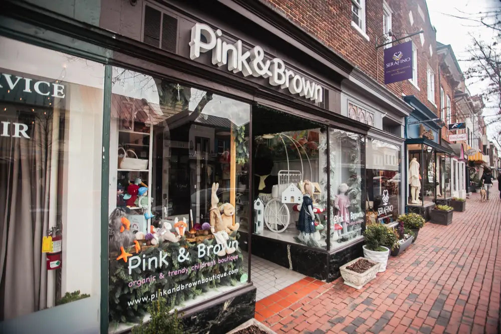 Pink & Brown Boutique